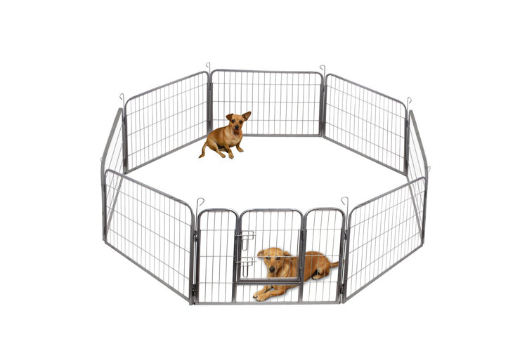 Ellery on sale dog barrier